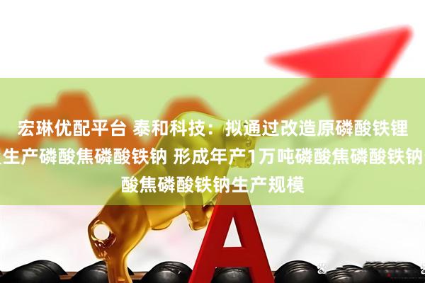宏琳优配平台 泰和科技:拟通过改造原磷酸铁锂生产装置生产磷酸焦磷酸铁钠 形成年产1万吨磷酸焦磷酸铁钠生产规模