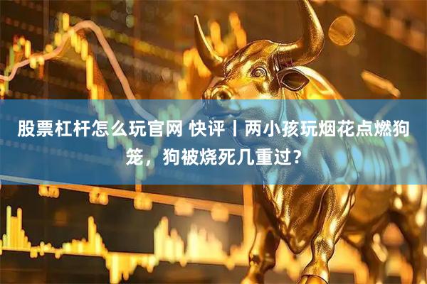 股票杠杆怎么玩官网 快评丨两小孩玩烟花点燃狗笼，狗被烧死几重过？