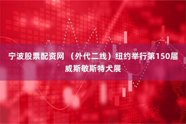 宁波股票配资网 （外代二线）纽约举行第150届威斯敏斯特犬展