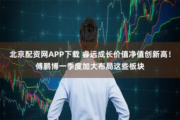 北京配资网APP下载 睿远成长价值净值创新高！傅鹏博一季度加大布局这些板块